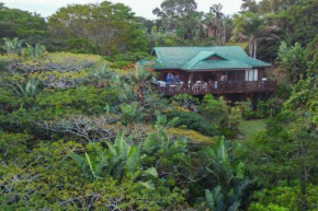 The beach tree house, Southbroom